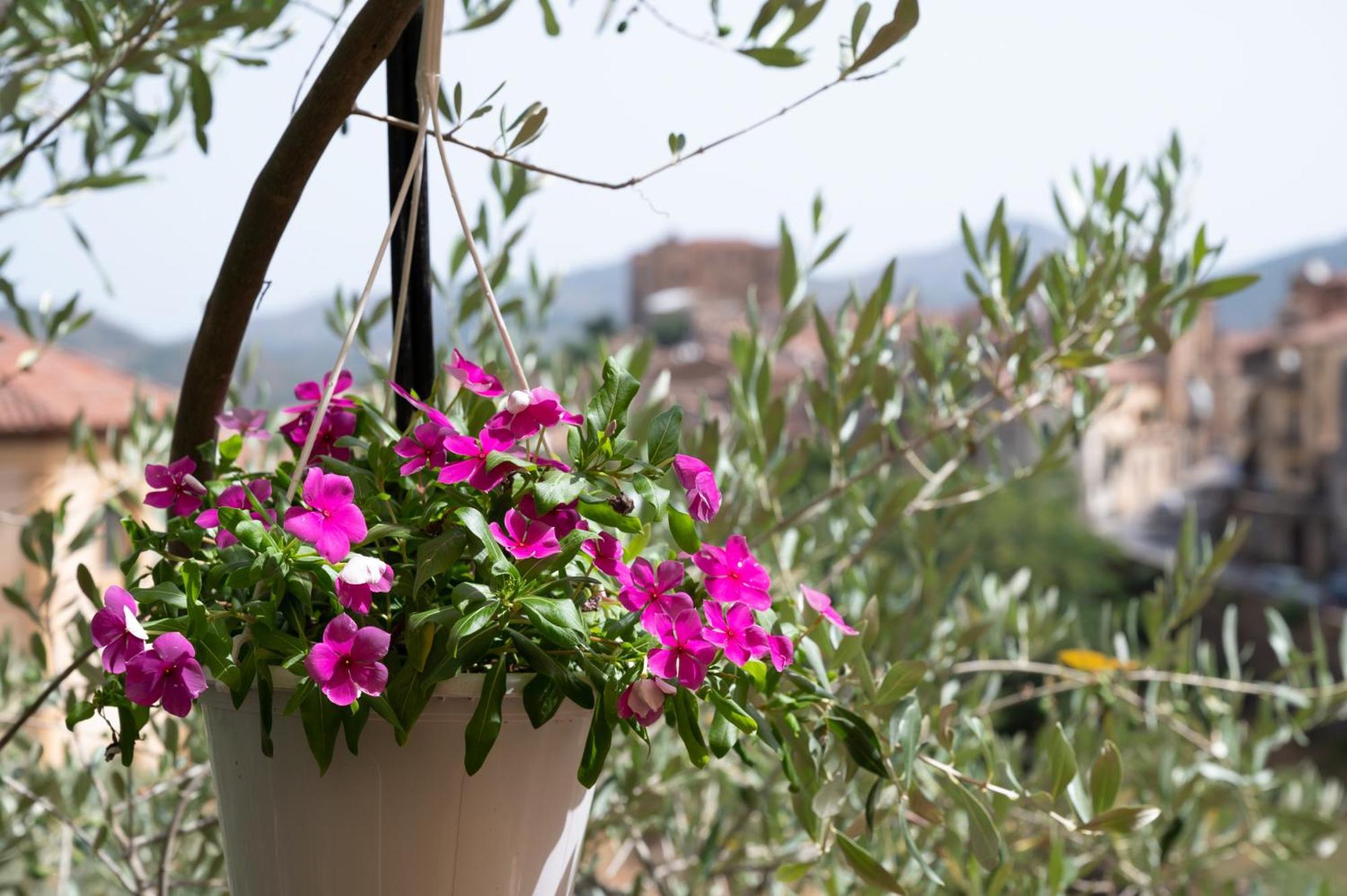 B&B Panorama Castelbuono  Luaran gambar